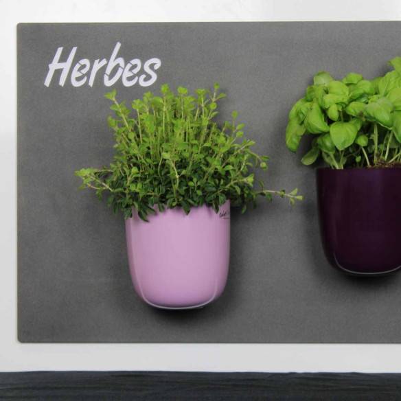 Kalamitica Herbes - Lavagna Magnetica con Incisione Offerta