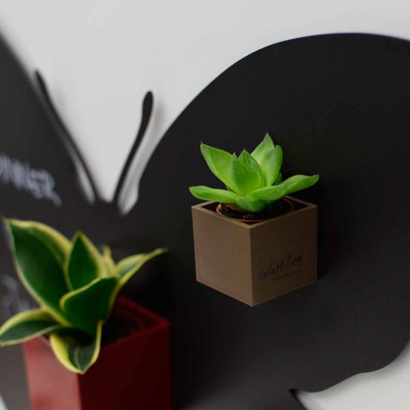 Kalamitica Cubo Magnetico Ø 3.5 cm Vendite Flash