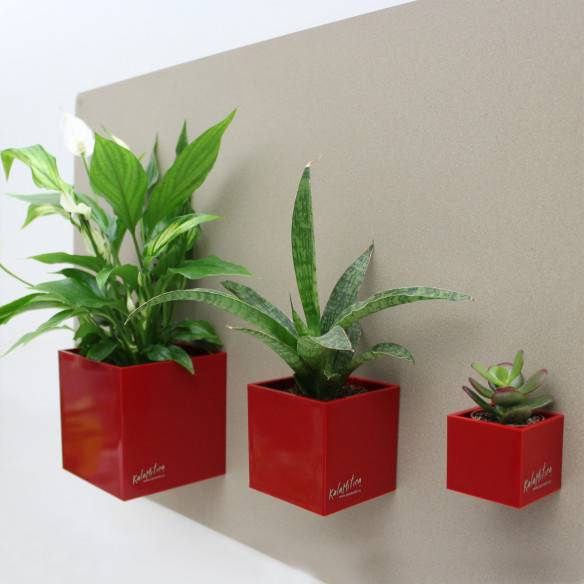 Kalamitica Set di 3 Cubi Magnetici Ø 3,5-6-9 cm Nuova