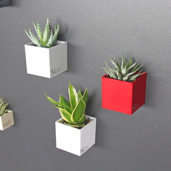 Kalamitica Assortimento di Cubi Magnetici Ø 6 cm Moda
