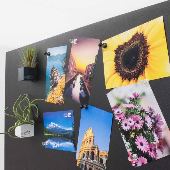Kalamitica Puntine Magnetiche Promozione