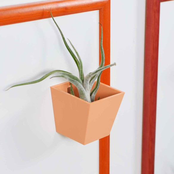 Kalamitica Piramide Magnetica Ø 6 cm Qualità Garantita