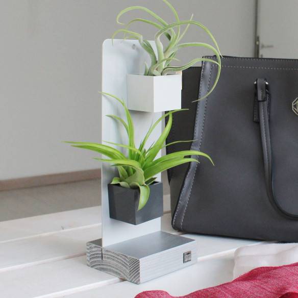 Kalamitica KIT EVERGREEN, Soprammobile Soggiorno con Piante Outlet