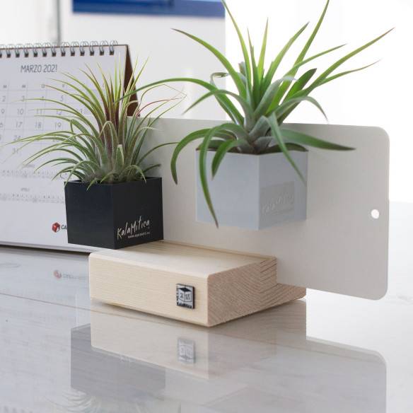 Kalamitica KIT EVERGREEN, Soprammobile Soggiorno con Piante Outlet