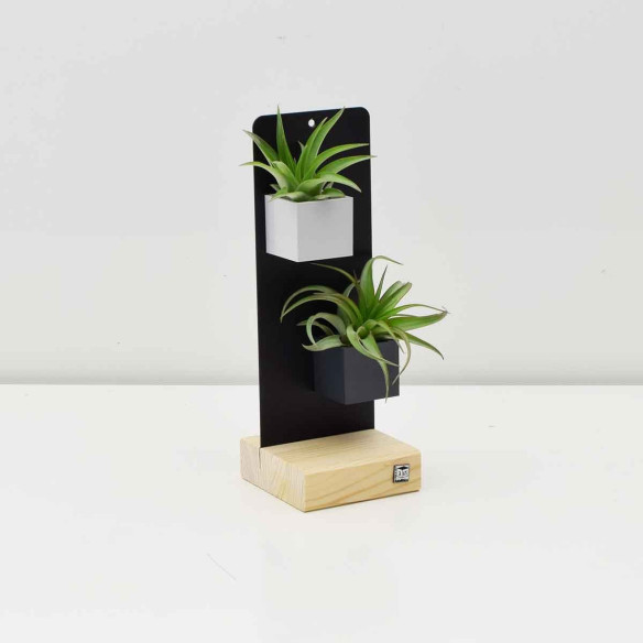 Kalamitica KIT EVERGREEN, Soprammobile Soggiorno con Piante Outlet