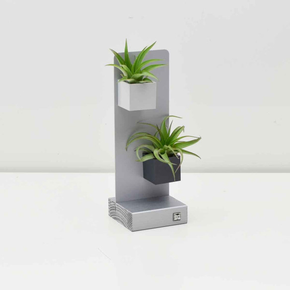 Kalamitica KIT EVERGREEN, Soprammobile Soggiorno con Piante Outlet