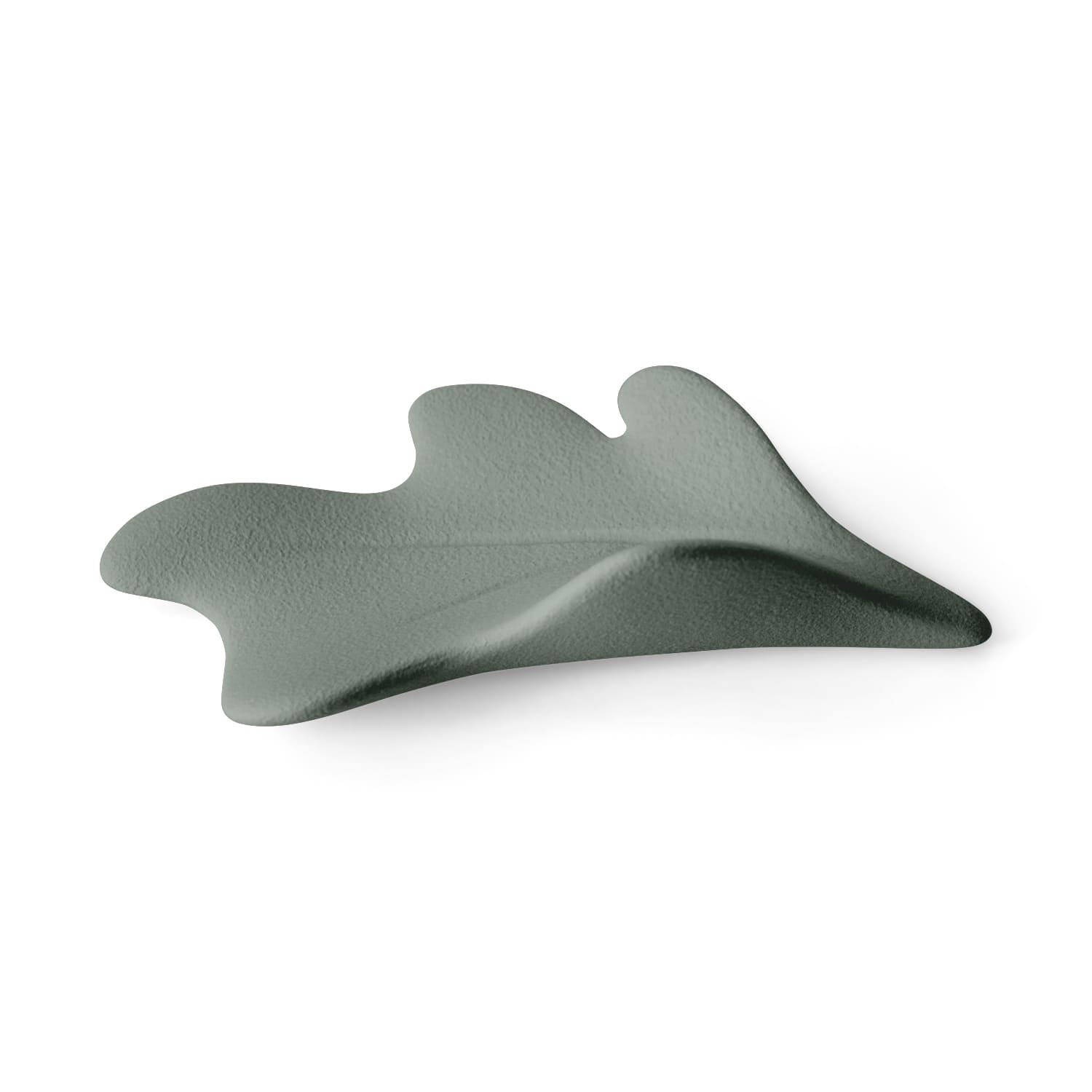 Lineasette Alga Offerta