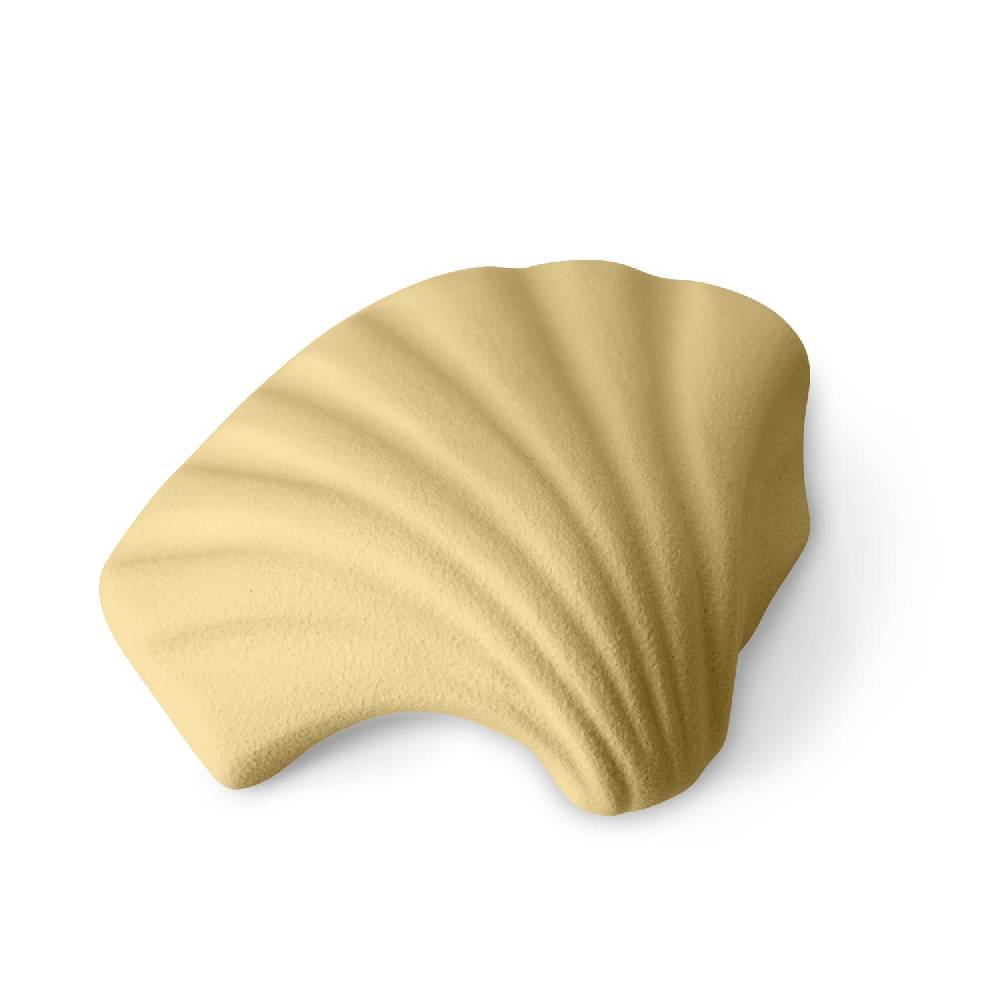 Lineasette Conchiglia Hotsell