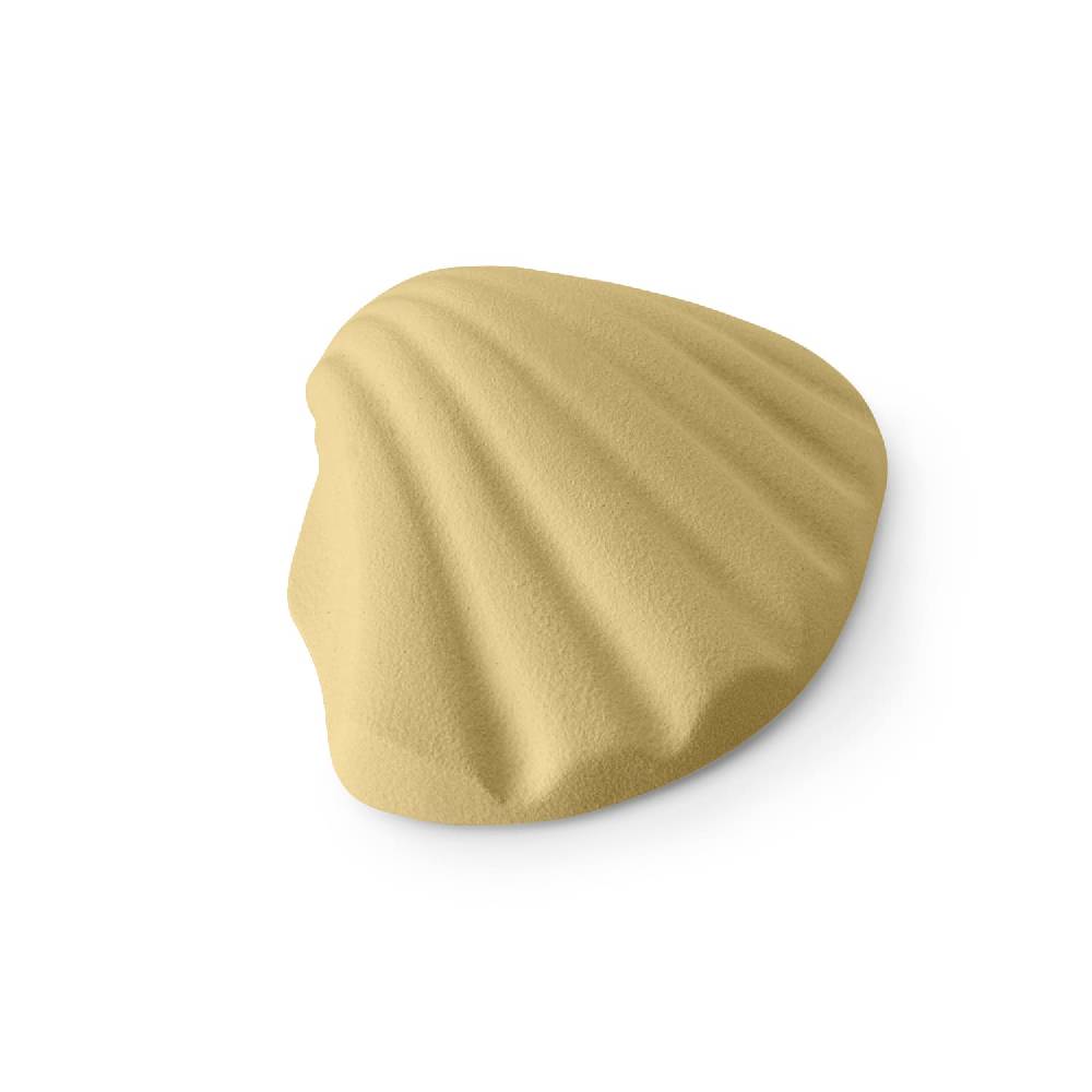Lineasette Conchiglia Hotsell