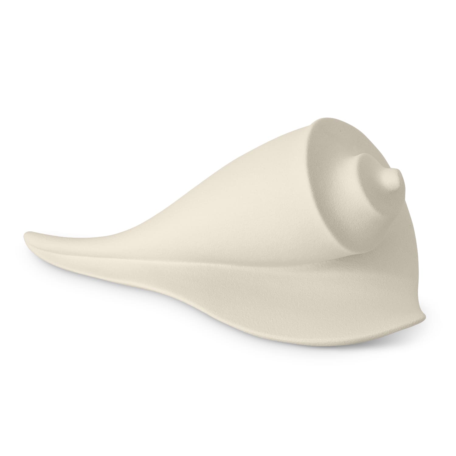 Lineasette Conchiglie Qualità