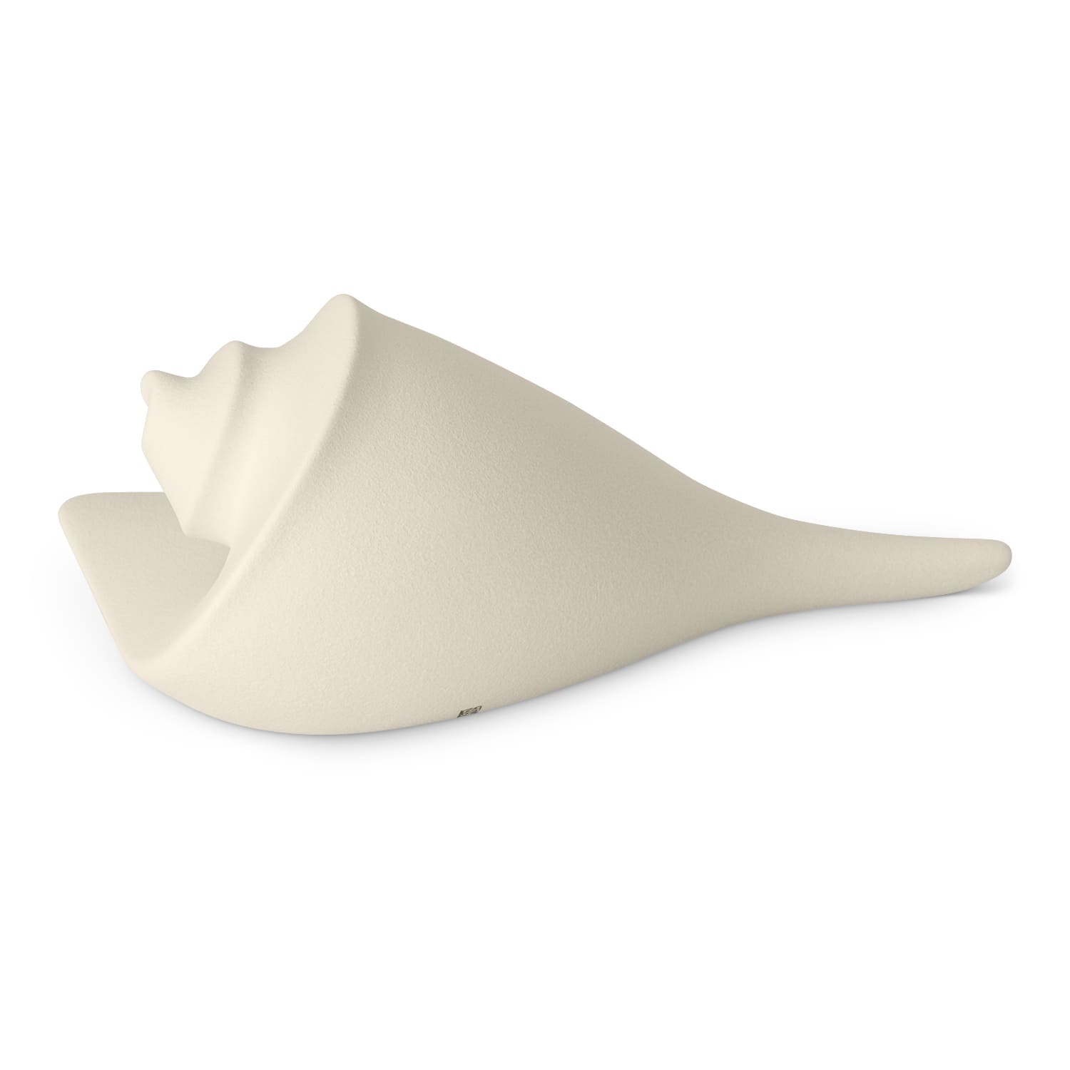 Lineasette Conchiglie Qualità