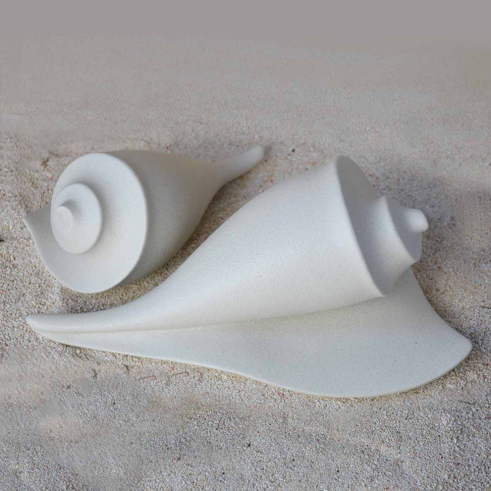 Lineasette Conchiglie Qualità