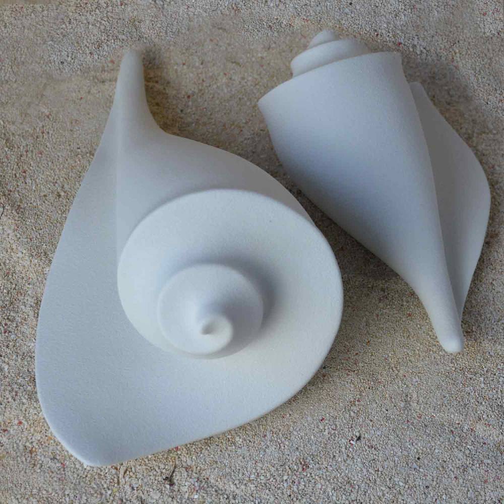 Lineasette Conchiglie Qualità