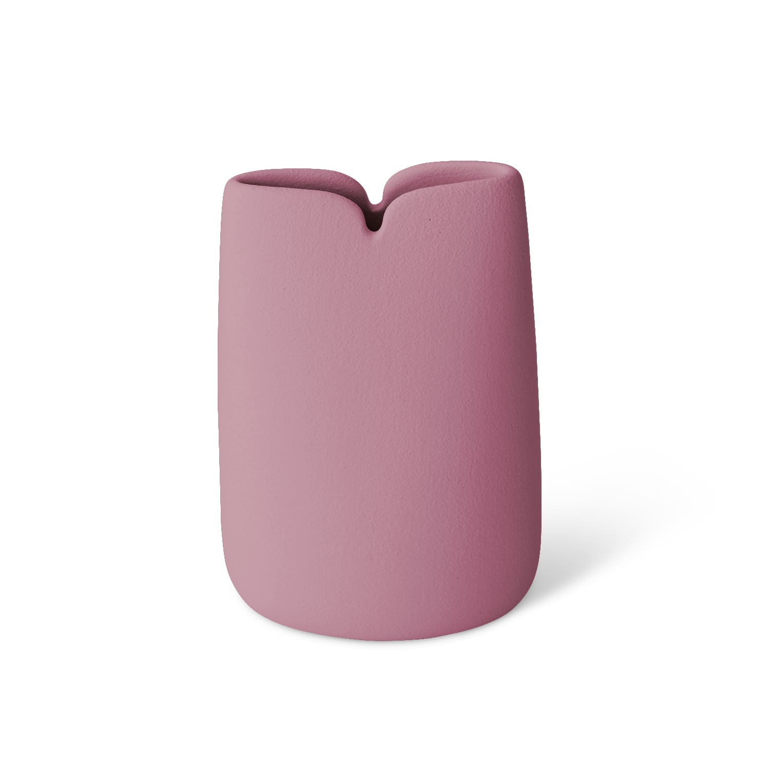 Lineasette Tulipani