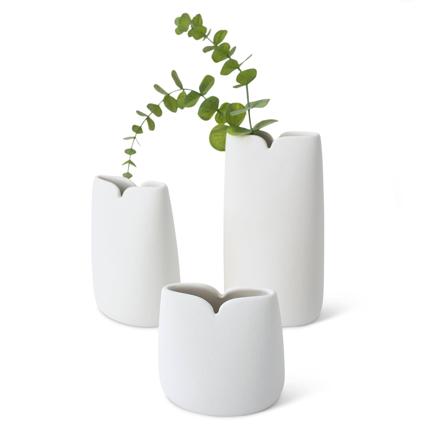 Lineasette Tulipani Sconto