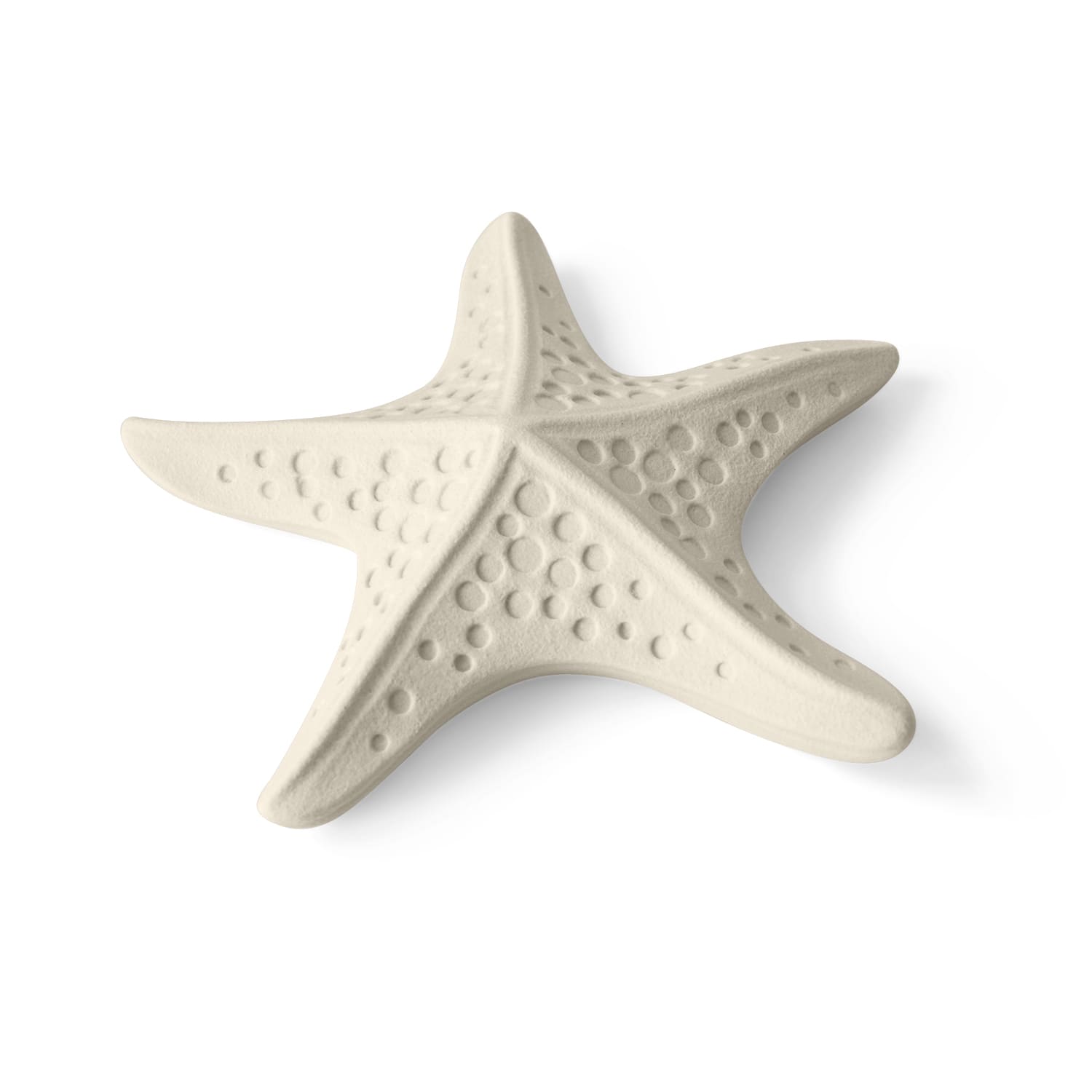 Lineasette Stella marina Soddisfazione Garantita