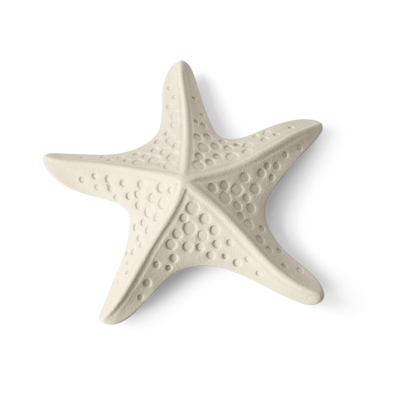 Lineasette Stella marina Soddisfazione Garantita