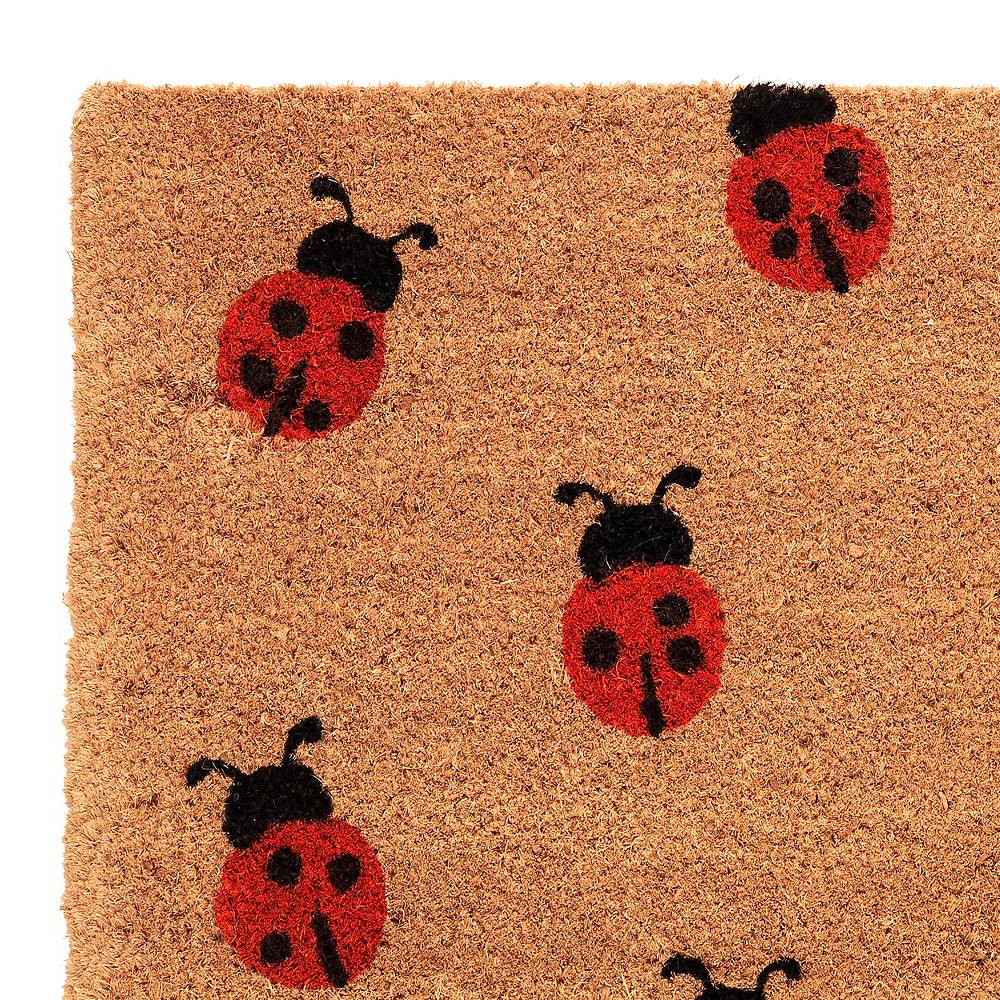 Oresteluchetta Zerbino LADYBUG Italy