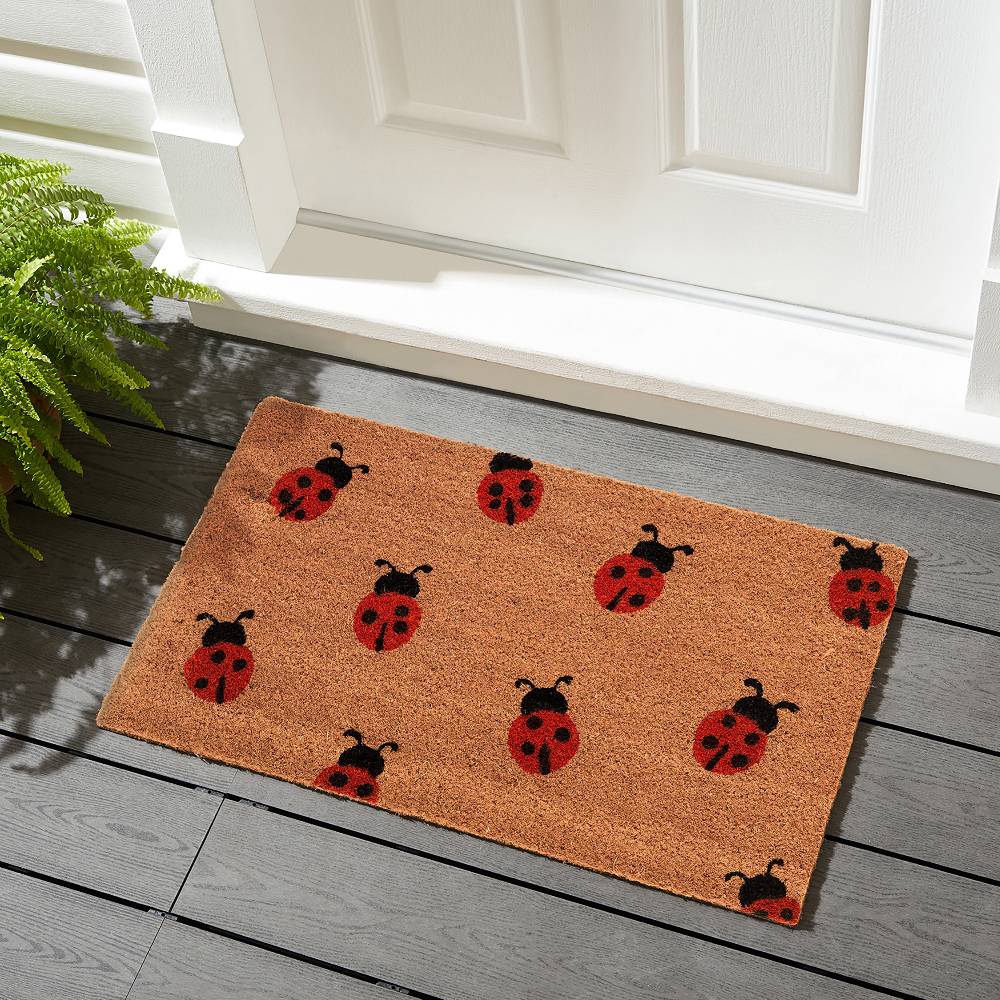 Oresteluchetta Zerbino LADYBUG Italy