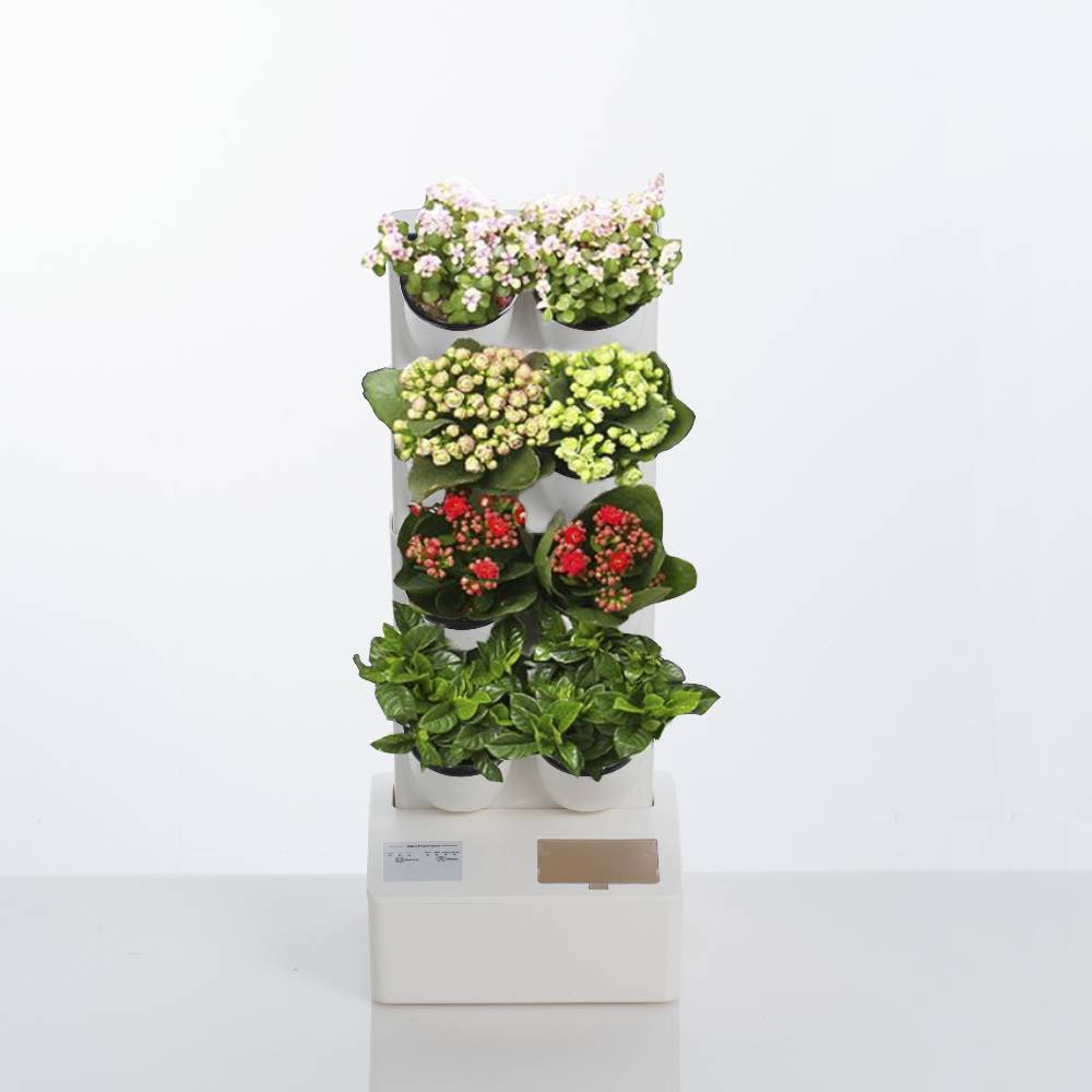 Oresteluchetta GIARDINO VERTICALE CON VASI AUTO INNAFFIANTI PER ESTERNO / INTERNO ALLOSH 8 Esporta salva
