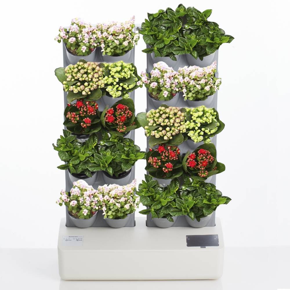 Oresteluchetta GIARDINO VERTICALE CON VASI AUTO INNAFFIANTI PER ESTERNO / INTERNO ALLOSH 20 Black Friday Prezzi