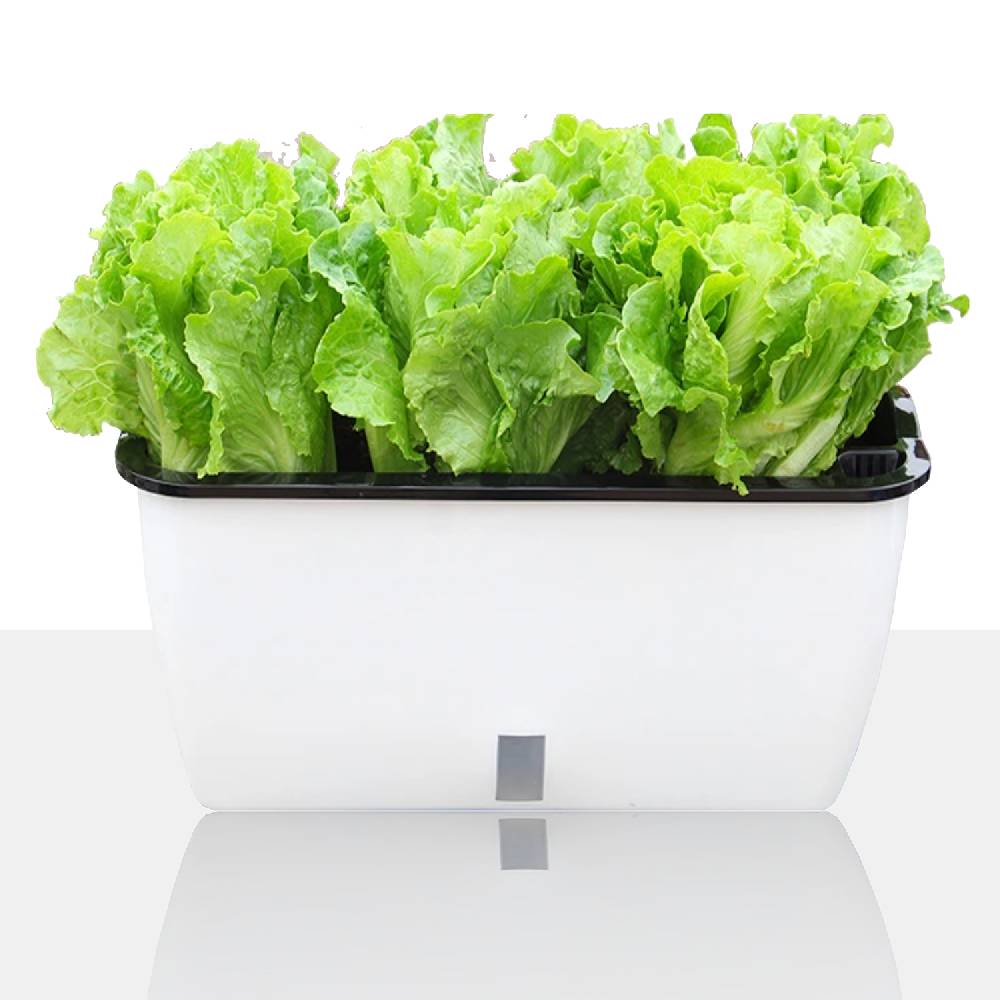 Oresteluchetta Vaso autoinnaffiante per esterno / interno TULLE BIG Promozione Limitata