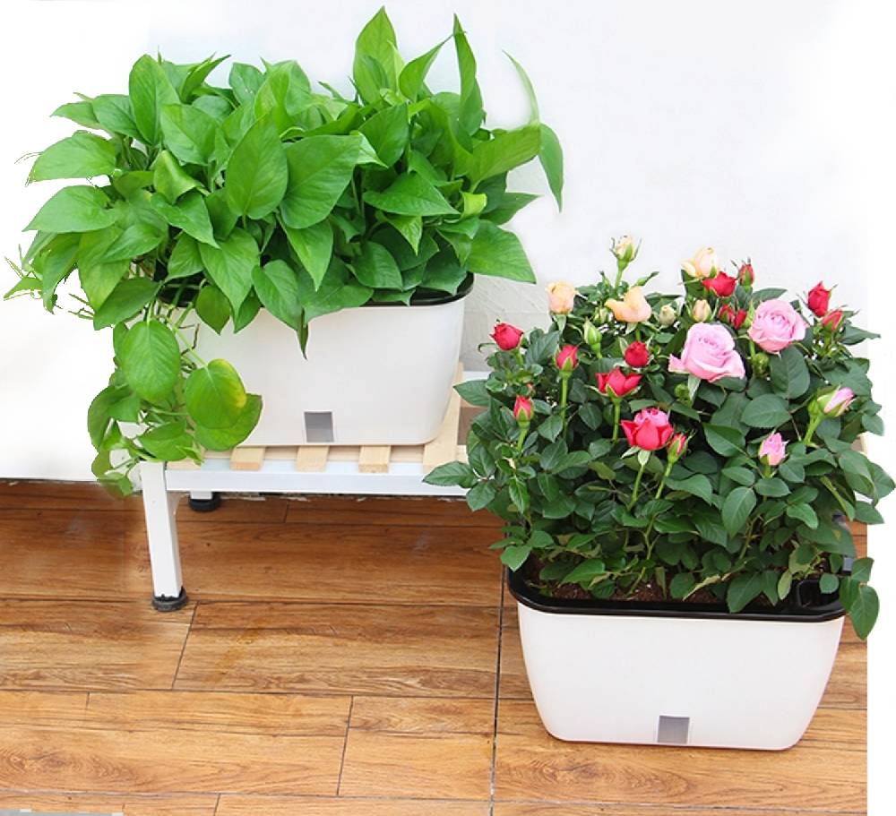 Oresteluchetta Vaso autoinnaffiante per esterno / interno TULLE SMALL Fino Al -60%