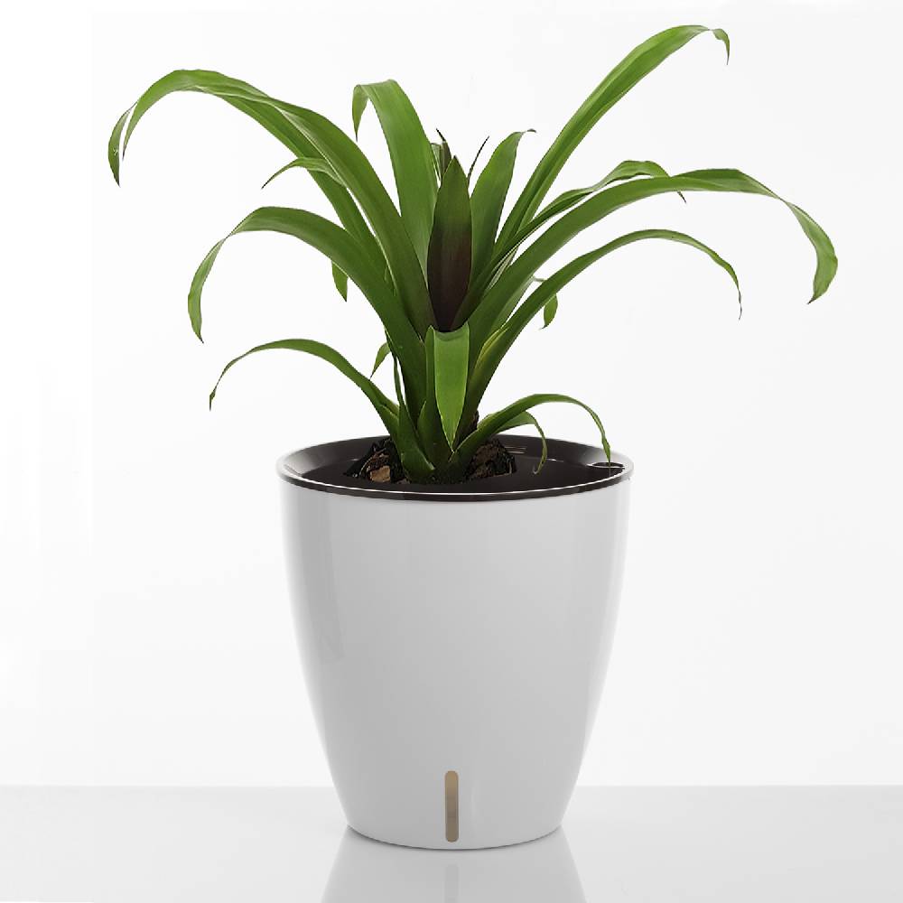 Oresteluchetta Vaso autoinnaffiante per esterno / interno ARGO Shopping Online