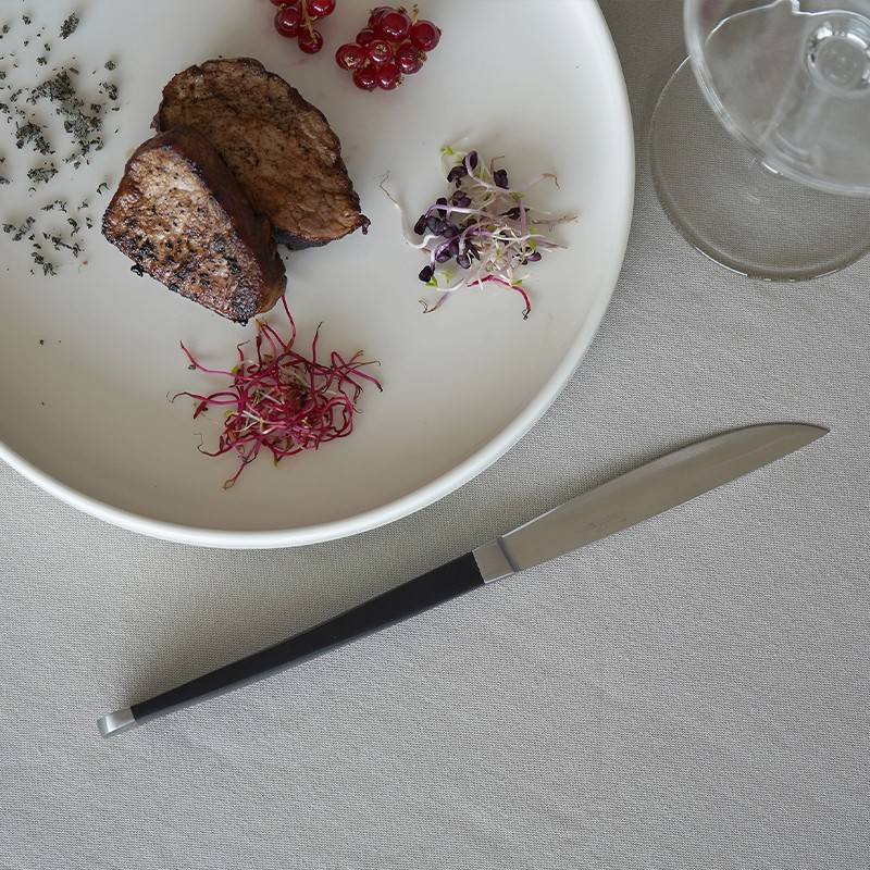 Pintinox Audrey » Coltello bistecca lama liscia e seghettata Soddisfazione Garantita