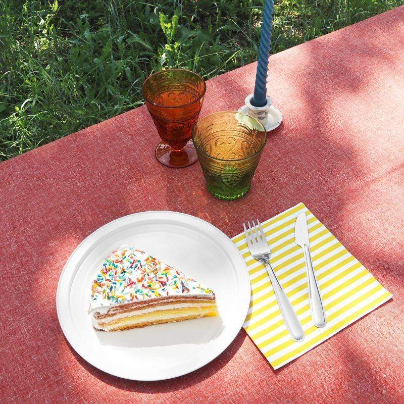 Pintinox Piatto Use&Reuse » Set 6 pz piatto in acciaio riutilizzabile per pic-nic e party Promozione