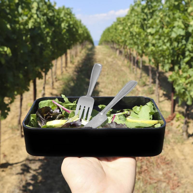 Pintinox USE&REUSE » Coltelli tavola Soddisfazione Garantita