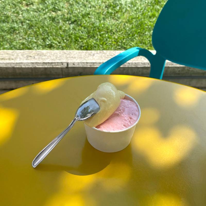 Pintinox USE&REUSE » Paletta gelato Fino Al -60%
