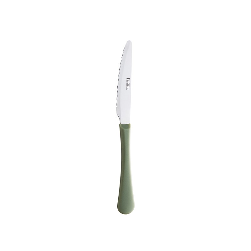 Pintinox Stresa Colour » Coltello multiuso manico salvia Promozione Limitata