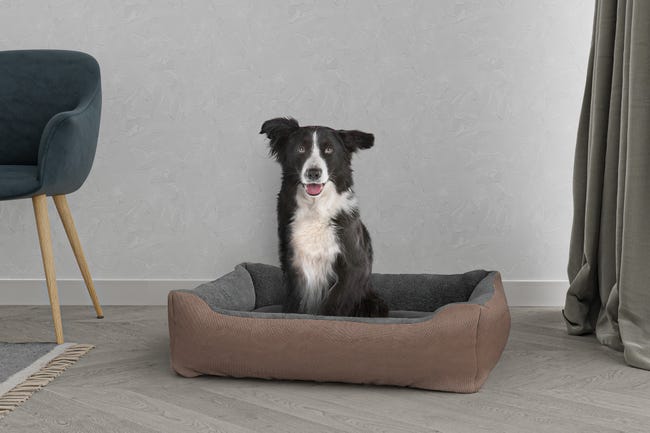 Leroymerlin CUCCIA LOVE SOGNI E CAPRICCI PETS 84x66 cm TORTORA Prezzo basso