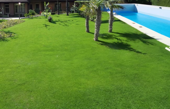 Leroymerlin Erba artificiale 30 mm 4F GROUP Deluxe al rotolo 5 x 2 m 10 m² Sostegno trimestrale
