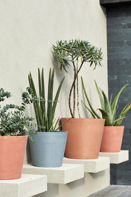 Leroymerlin Vaso per piante e fiori AMSTERDAM ECOPOT'S in resina grigio H 26.5 cm Ø 30 cm Discount Store per i nuovi prodotti