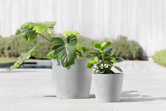 Leroymerlin Vaso per piante e fiori AMSTERDAM ECOPOT'S in resina grigio chiaro H 26.5 cm Ø 30 cm Solo un giorno rimasto