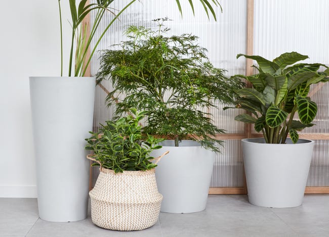 Leroymerlin Vaso per piante e fiori AMSTERDAM ECOPOT'S in polipropilene grigio chiaro H 70 cm Ø 32 cm Offerte giornaliere