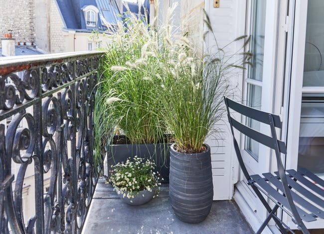 Leroymerlin Vaso per piante e fiori BRUSSELS ECOPOT'S in polipropilene grigio H 14 cm Ø 30 cm Prezzo basso