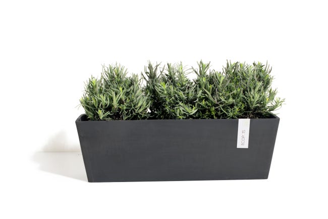 Leroymerlin Fioriera BRUGES ECOPOT'S in resina antracite H 17 cm L 55 x P 17 cm Rilascio limitato