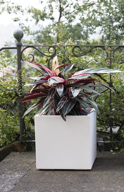 Leroymerlin Coprivaso per piante e fiori KEBE in polipropilene bianco H 40 cm L 40 x P 40 cm Latest stili