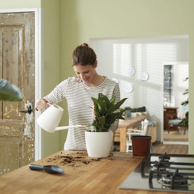 Leroymerlin Vaso con supporto ELHO Auto-irrigante in polipropilene nero H 39 cm Ø 42.8 cm Limitato a 3 giorni