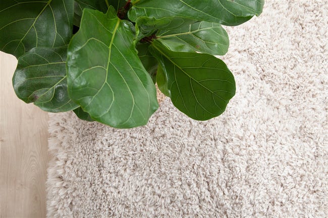 Leroymerlin Tappeto Bold beige L 230 x L 160 cm Prezzo basso