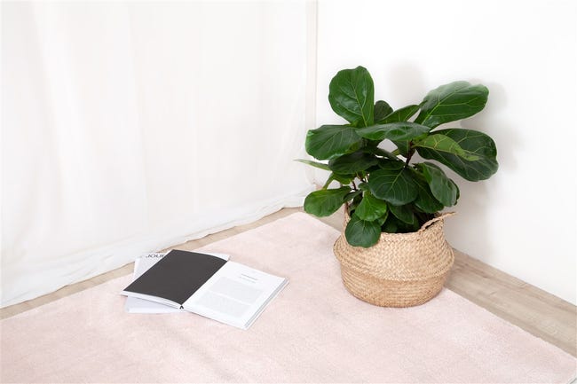 Leroymerlin Tappeto Twinkle Cipria antiscivolo rosa L 120 x L 60 cm Only for today