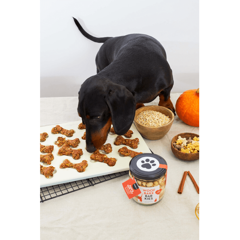 Sbam Design Biscotti per cani In Linea