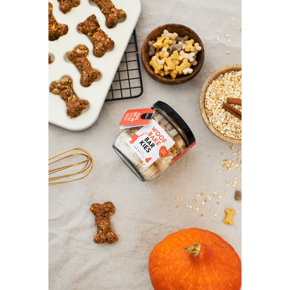 Sbam Design Biscotti per cani In Linea