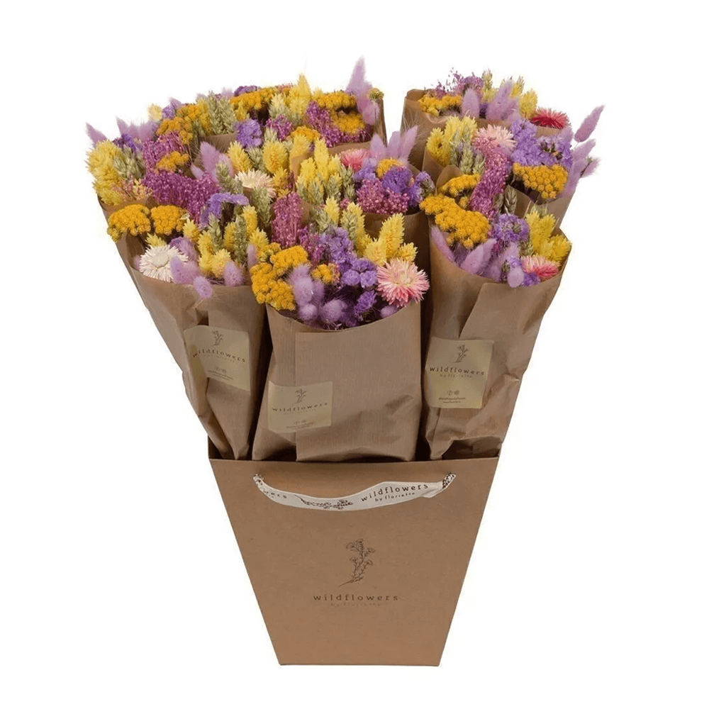 Sbam Design Piccolo Bouquet di fiori secchi Nuovo
