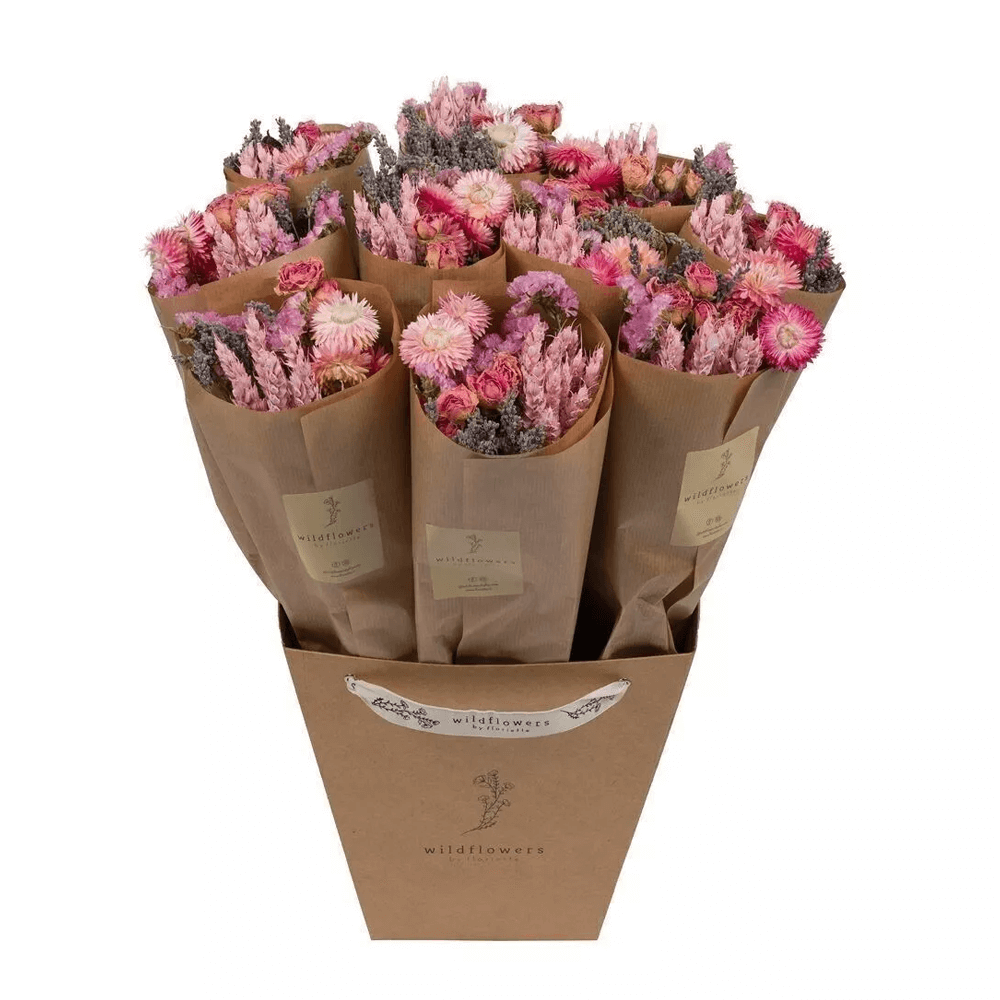Sbam Design Piccolo Bouquet di fiori secchi Nuovo