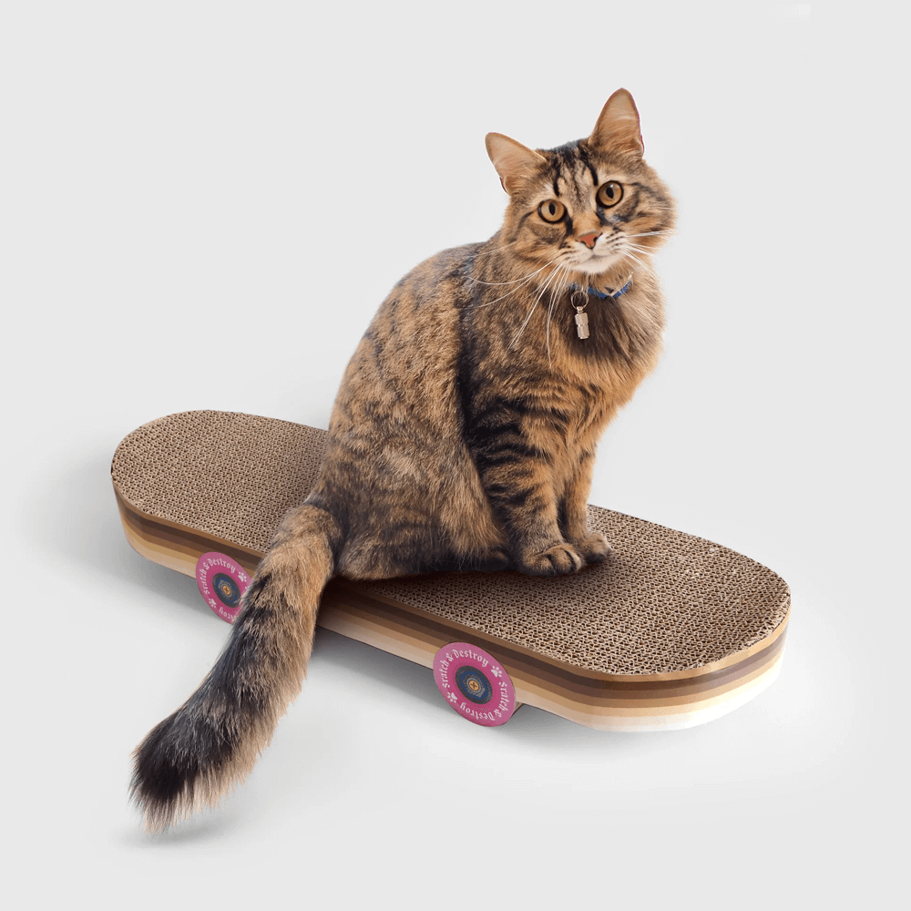 Sbam Design Skateboard da graffiare per gatti Economico