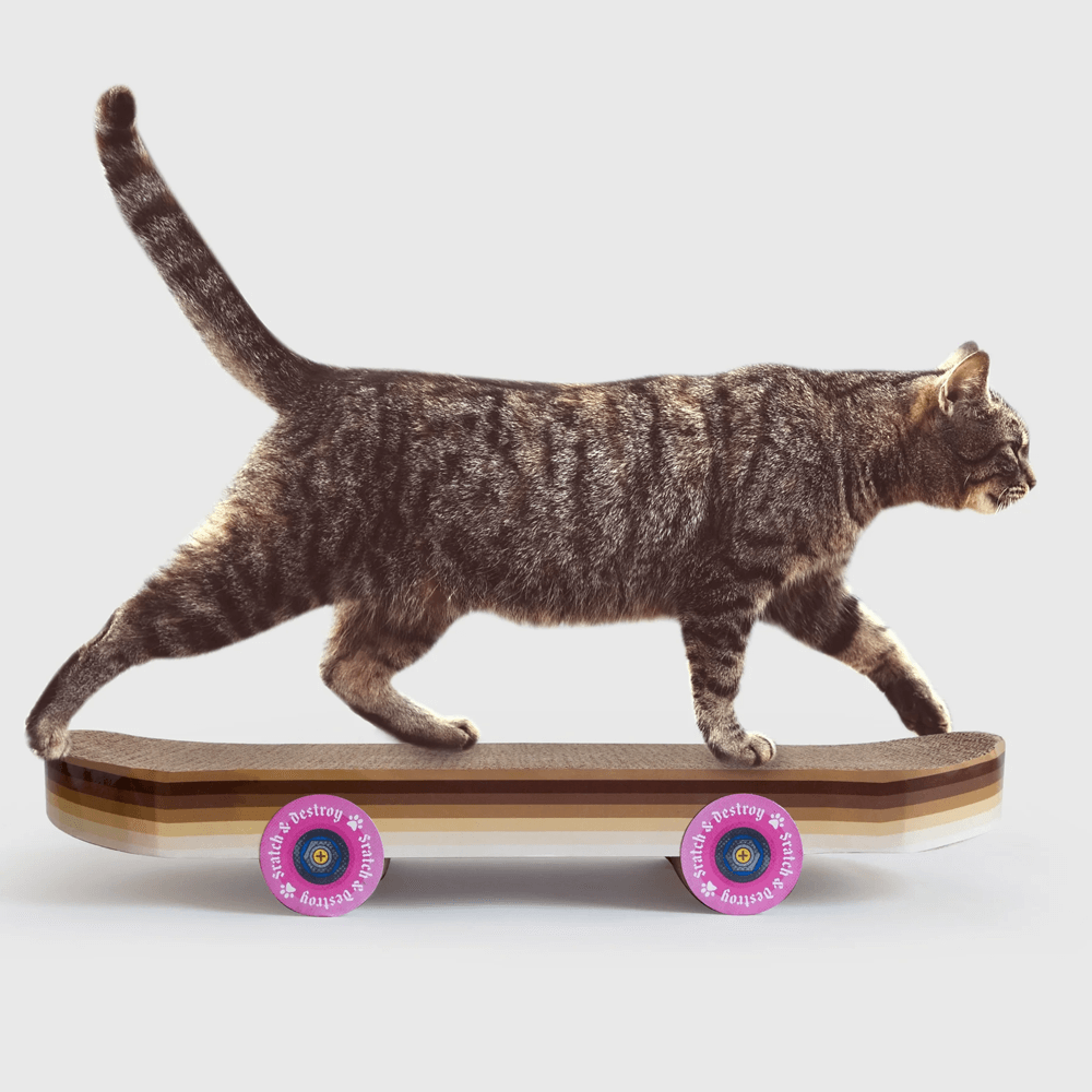 Sbam Design Skateboard da graffiare per gatti Economico